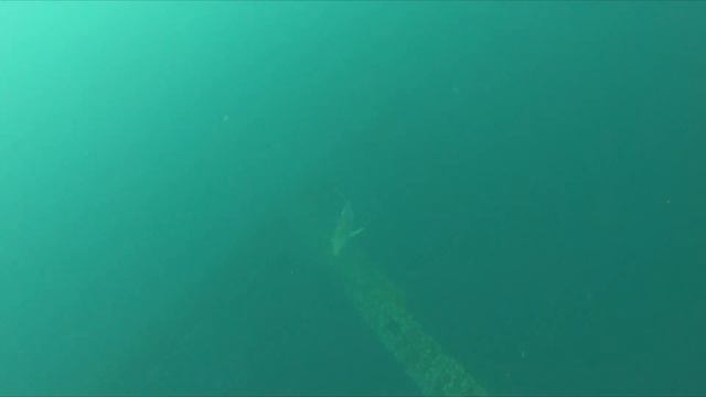 Spearfishing Deep Oil Rigs for COBIA! (Shark Attack!) смотреть онлайн