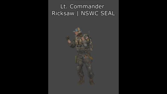 Lt. Commander Ricksaw | NSWC SEAL Voiceover смотреть онлайн