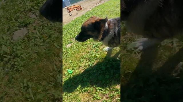 Упс! Такого никто не ожидал! смотреть онлайн