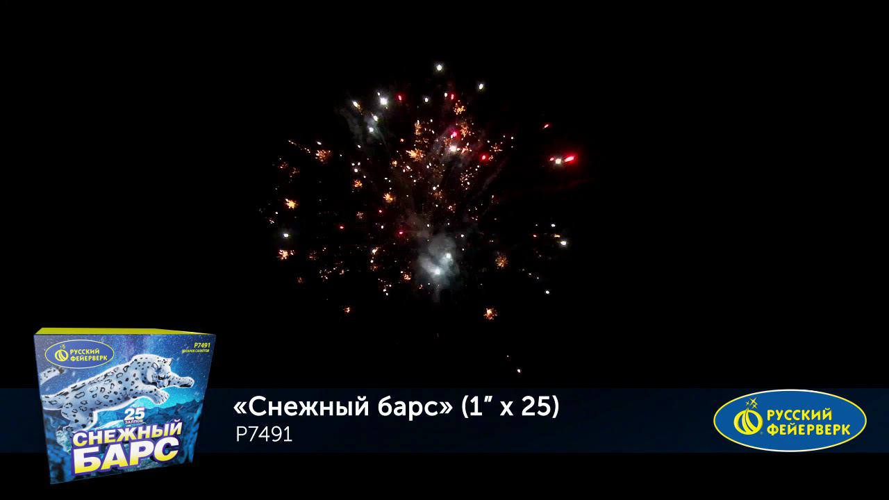 Р7491 Салют "Снежный барс" (1,0"х25) МОДУЛЬ 1/12/1 смотреть онлайн