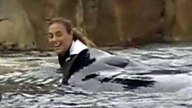 Tilikum - The Terrifying Orca Who KILLED Its Trainer Dawn Brancheau
