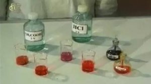 Химия. Действие растворов кислот на индикаторы