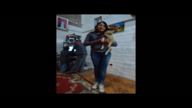 Paseo por fin de año 2011 Flia Bustos y Flia Chamorro. смотреть онлайн
