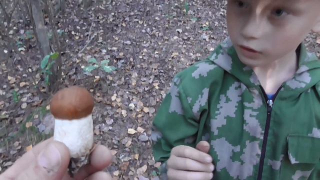 По ГРИБОЧКИ по ГРИБЫ! СЕНТЯБРЬСКИЕ ГРИБЫ! смотреть онлайн