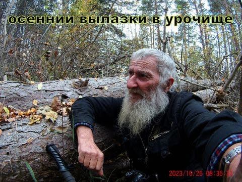 Осеннии вылазки в урочище смотреть онлайн