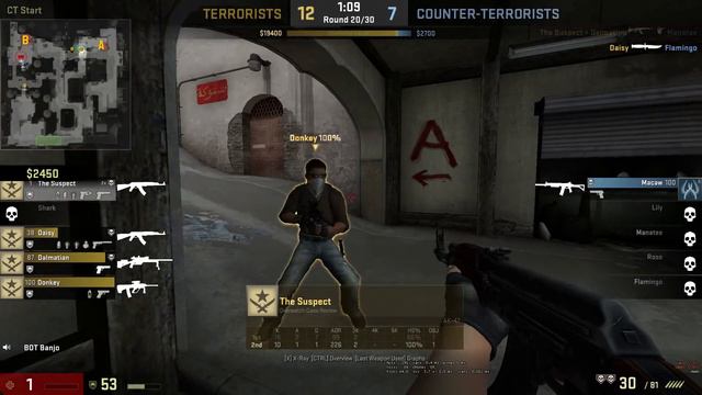 Cleaning the Community! CS:GO OVERWATCH! смотреть онлайн