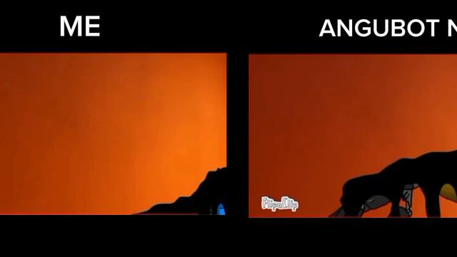 ANGUBOT BU VS ANGUBOT NA