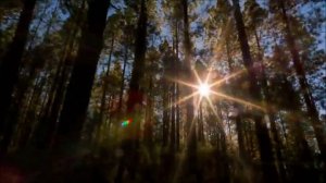 a-ha | Forest fire (oficial, Cast in Steel 2015)