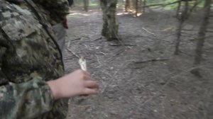 Пошли прогуляться в лес И НАШЛИ ГРИБЫ! Прход в лес с собакой!