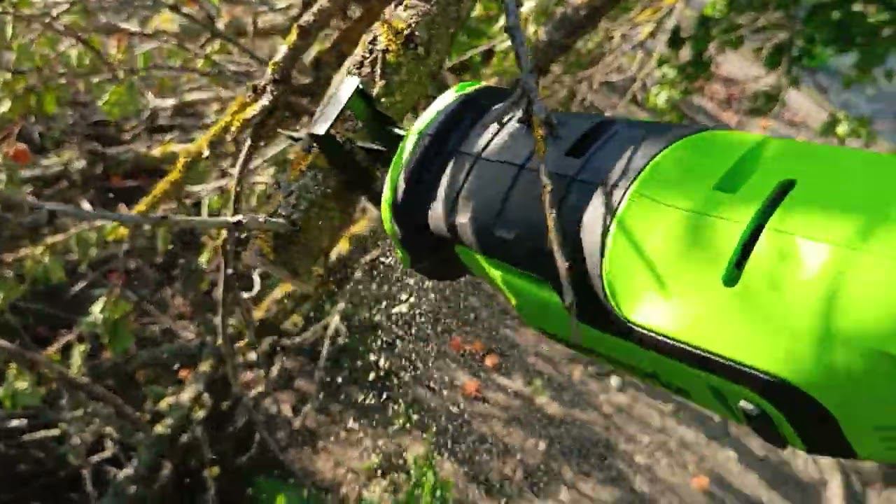 Обзор сабельной пилы Greenworks GPT-BLRS-1: отличный помощник в саду и настройке смотреть онлайн