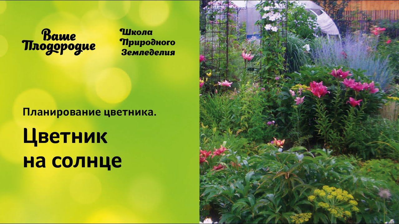 Планирование цветника. Цветник на солнце смотреть онлайн