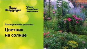 Планирование цветника. Цветник на солнце