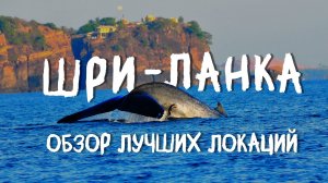 Шри-Ланка. Обзор лучших локаций. Киты. Что посмотреть Sri Lanka. Топ достопримечательностей.