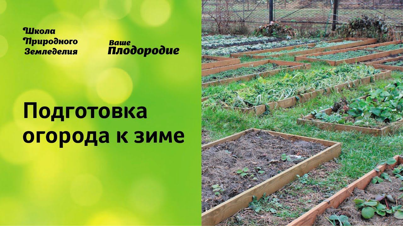Подготовка огорода к зиме, сидераты, теплые грядки смотреть онлайн