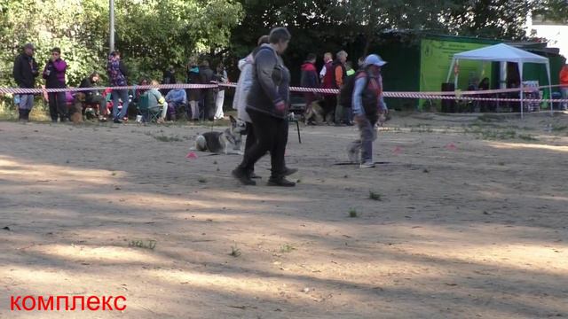 ОКД_Альфа Центавра из Пушкино