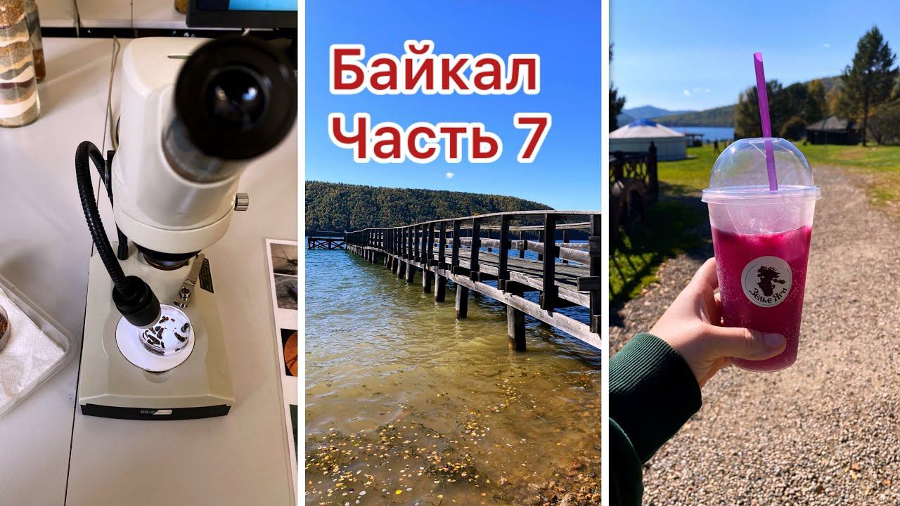 Байкал часть 7/Негде переночевать/Показываю под микроскопом обитателей Байкала/ Музей Тальцы/Улетаю