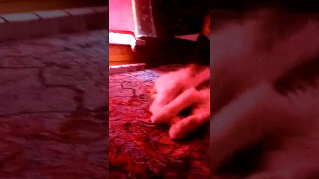 мусь смотреть онлайн