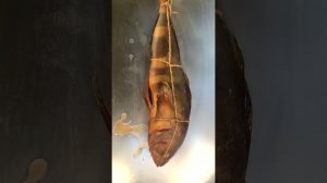 Терпуг горячего копчения