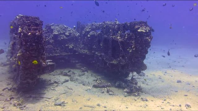 Scooter Diving Maui - WW2 LVT-4 Landing Craft Wreck смотреть онлайн