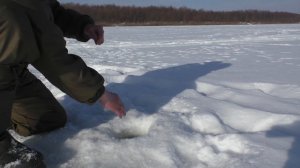 ЛОВЛЯ РЫБЫ НА ПОДТЯГ! Река ОКА рыбалка СЕРЕДИНА ФЕВРАЛЯ!