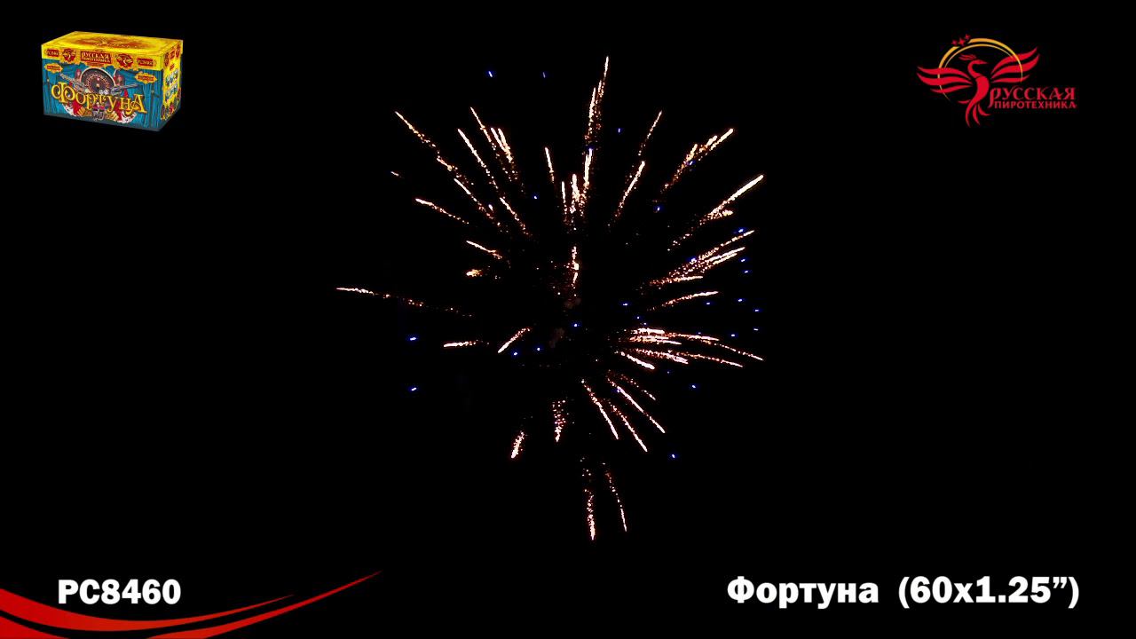 РС8460 Салют "Фортуна" (1,2"х60) 1/2/1 смотреть онлайн