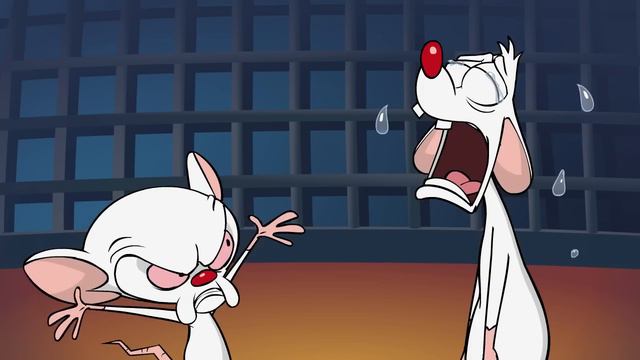 Pinky and the Brain Swearing смотреть онлайн