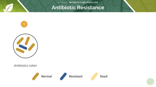 AQA GCSE Biology: Antibiotics and Painkillers смотреть онлайн