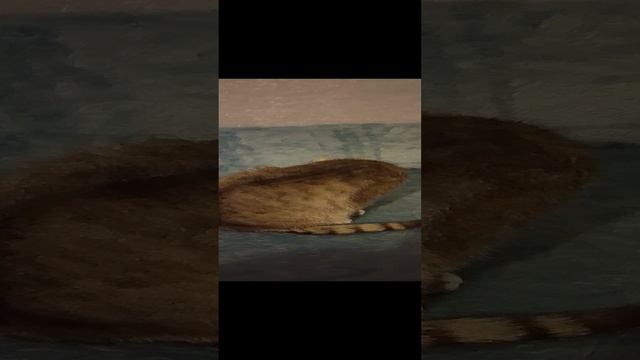 Philips Match Line 32" старый телек смотреть онлайн