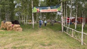 Никола Ленивец 2024