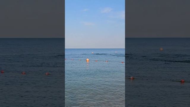 Дельфины прям у берега в Анапе #анапа #море #анапасегодня #анапапляжи смотреть онлайн