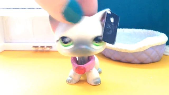 LPS: 5 Типов девушек смотреть онлайн