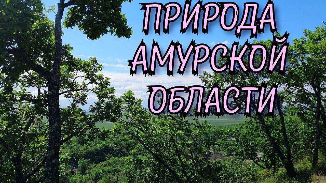 Природа Амурской области. Отдых для глаз смотреть онлайн