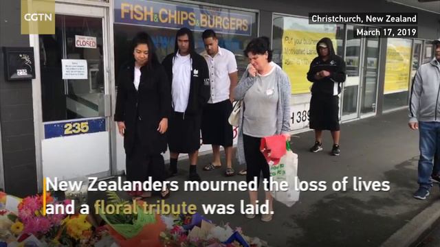 New Zealand terrorist attack: 50 dead in Christchurch shooting смотреть онлайн