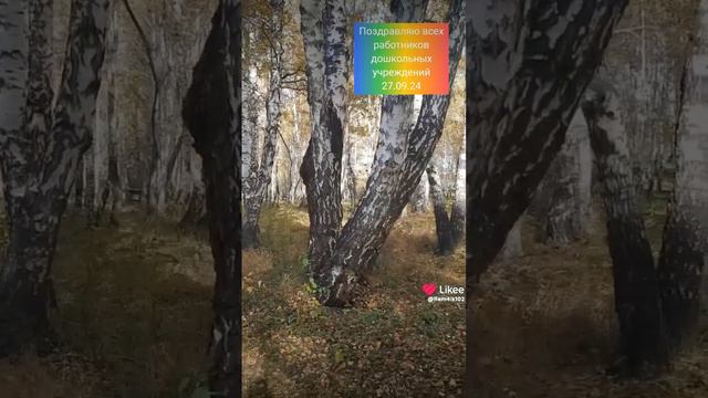 Золотая осень💥 смотреть онлайн