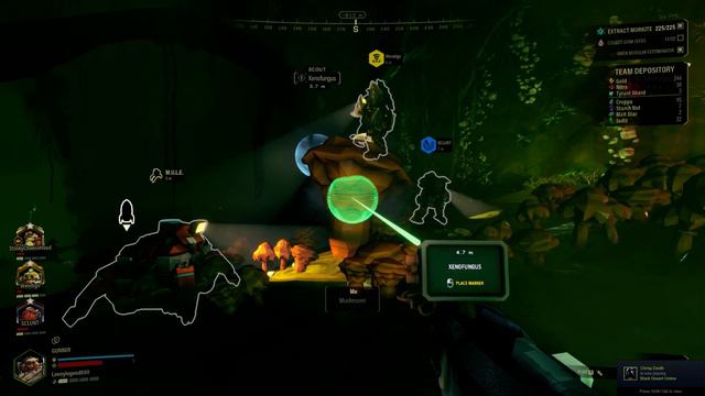 mushroom смотреть онлайн