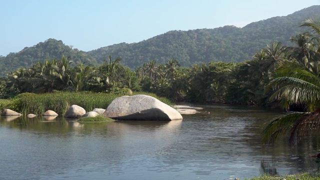 Tayrona National Park, Colombia In 4K Ultra HD