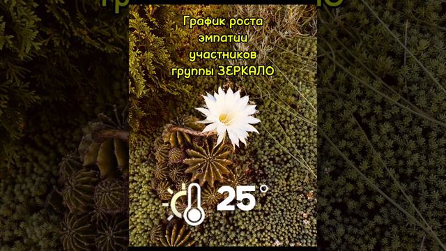 Группаразвития.mp4