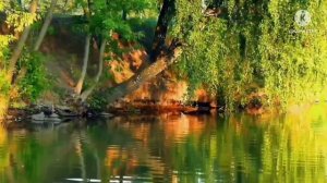 Иволга. 
Помню, помню мальчик я босой