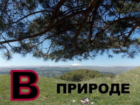 В природе смотреть онлайн