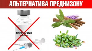 Лучшая альтернатива кортикостероидам👉натуральные заменители