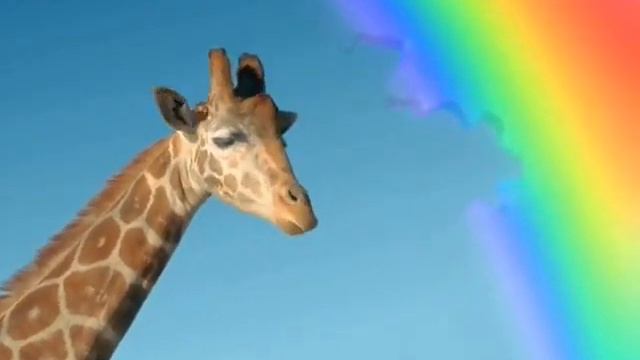 Balls.Skittles смотреть онлайн