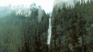 Crysis Nature - 200 fps Rendered