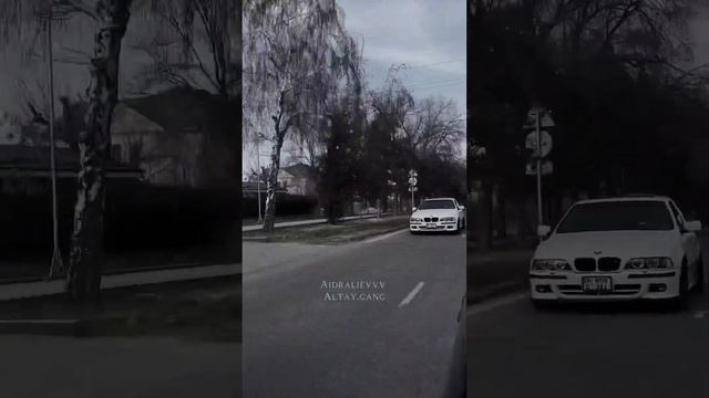 BMW MAFIA смотреть онлайн