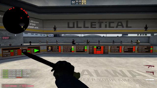 100KILLS EN 1.17.4 | AIM BOTZ TRAINING CHALLENGE | CS:GO смотреть онлайн