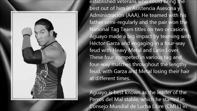 Perro Aguayo Jr. ● A Simple Tribute смотреть онлайн