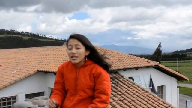 Que hago yo? | Ha*Ash | (Cover) Diana Osorio смотреть онлайн