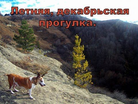 Летняя Декабрьская прогулка смотреть онлайн