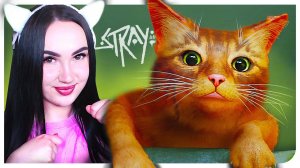 КОТЫ - ЭТО ЖЕ ЖИДКОСТЬ! СИМУЛЯТОР КОТА ➤ Stray #1