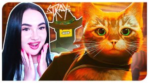 КОТ И ПОСЕЛЕНИЕ РОБОТОВ ➤ STRAY #2