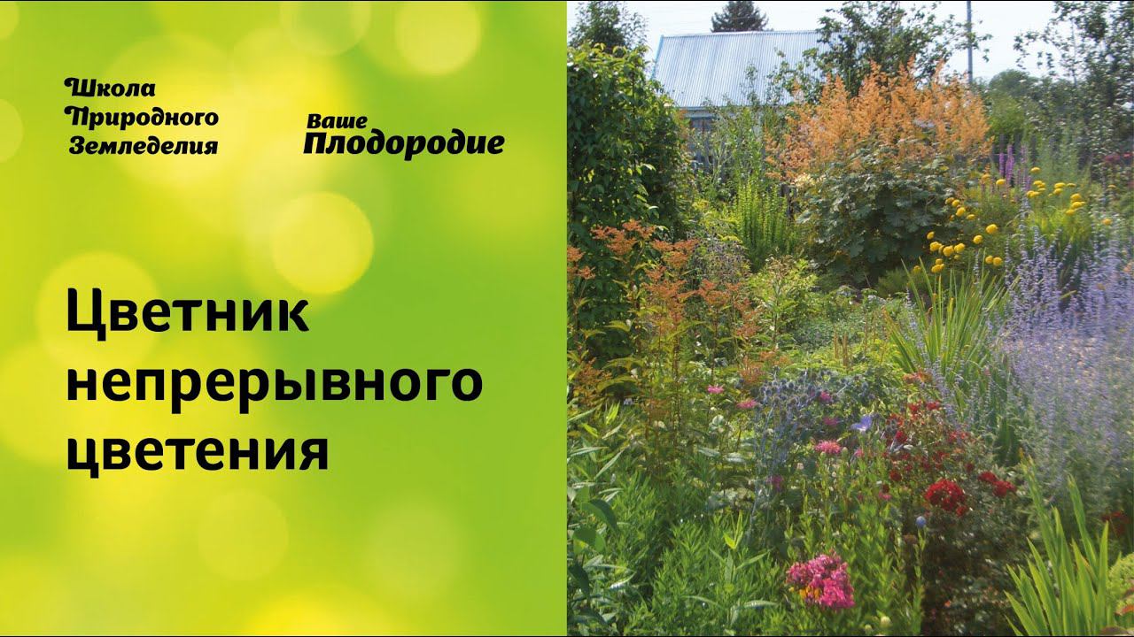 Цветник непрерывного цветения. Легко и просто смотреть онлайн